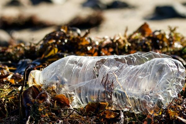 Plastic fles op gras