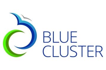 logo Blue Cluster